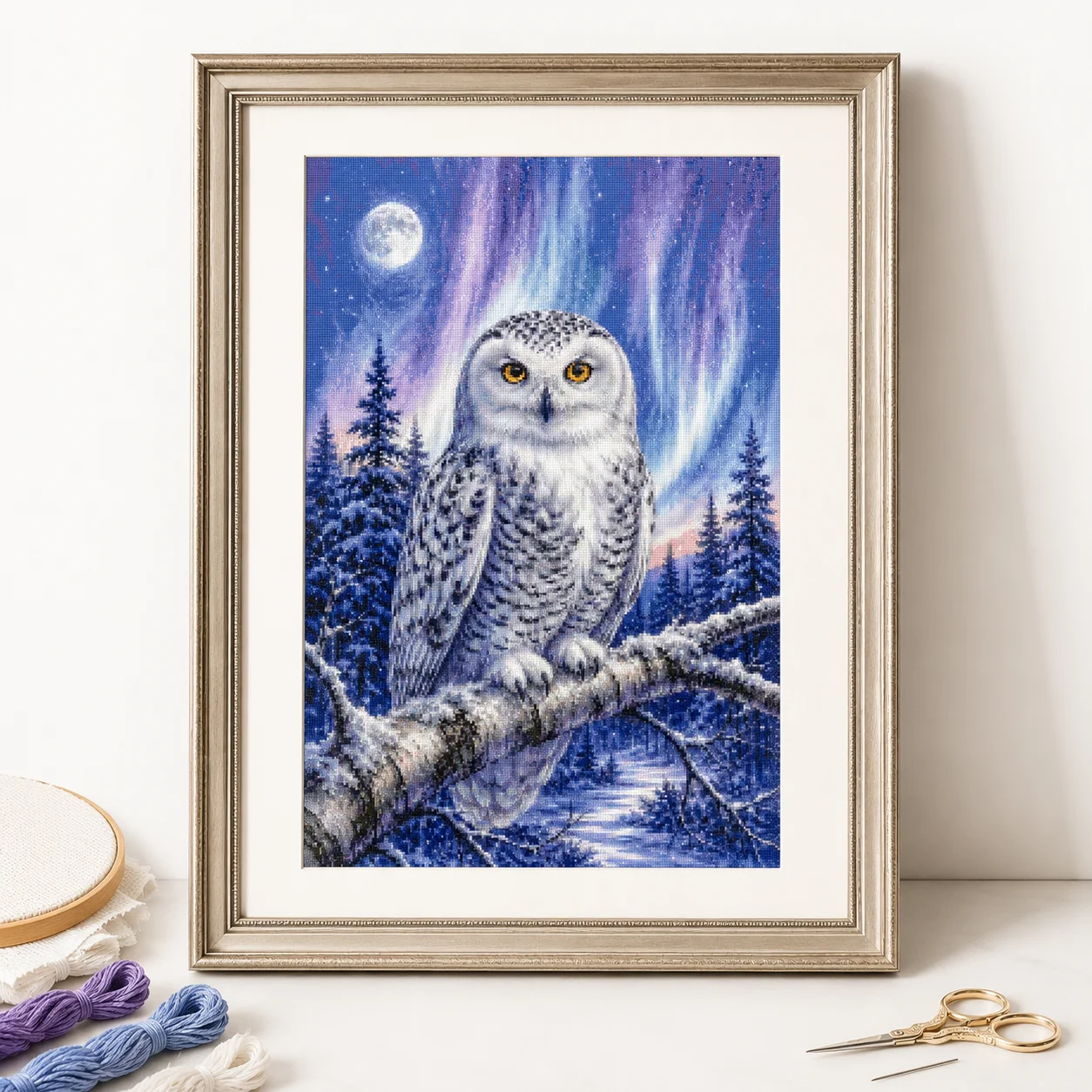 [ZZ8820-Occhio di Gufo Inverna - Cross Stitch Stamped Kits Beginners recensione e prezzo