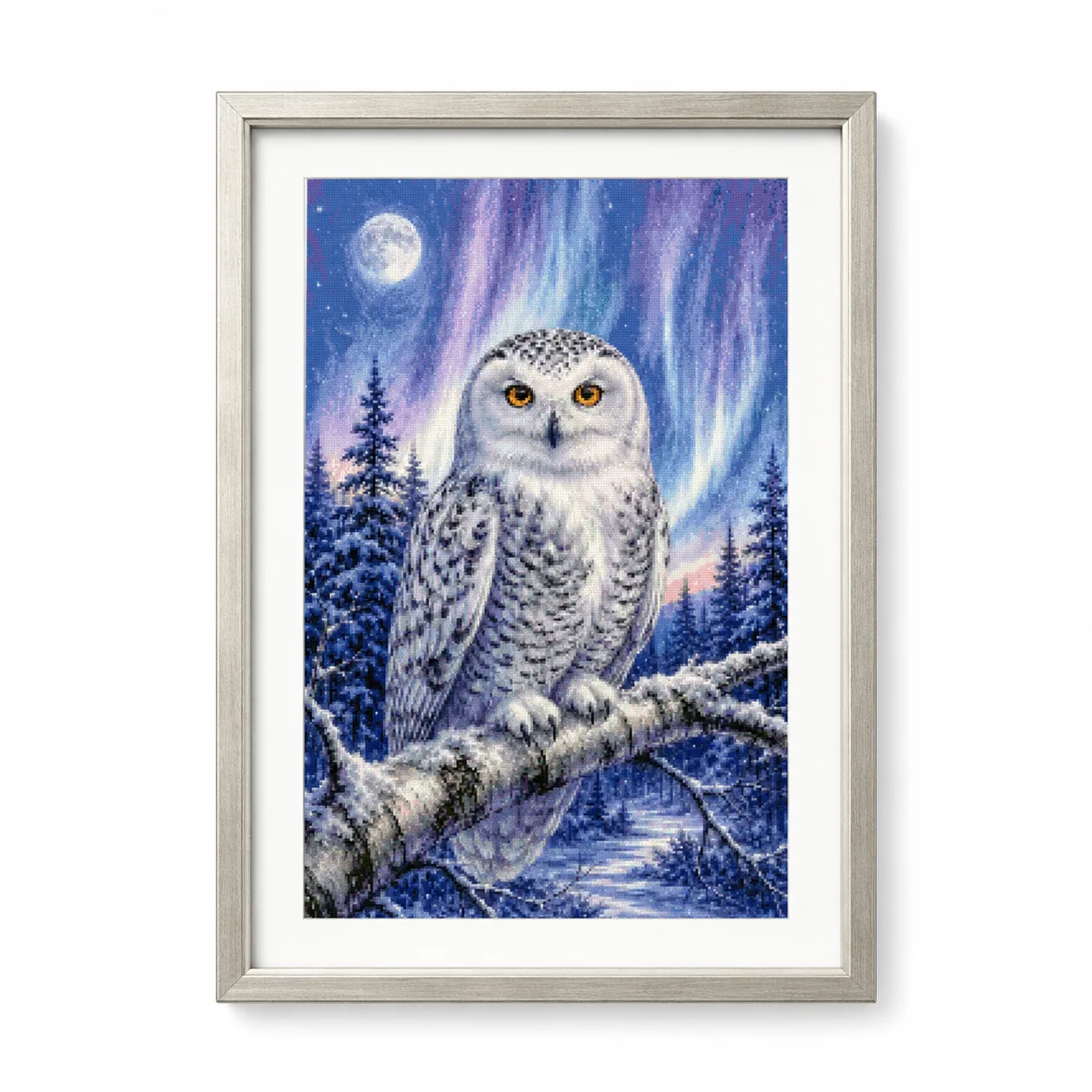 [ZZ8820-Occhio di Gufo Inverna - Cross Stitch Stamped Kits Beginners recensione e prezzo